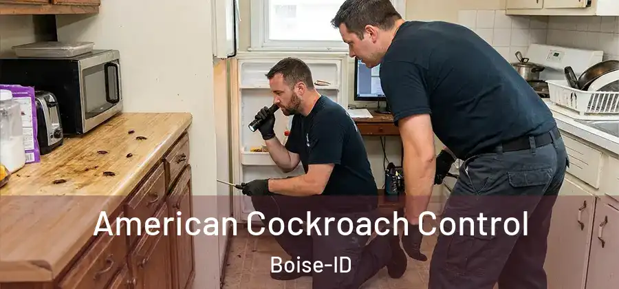  American Cockroach Control Boise-ID