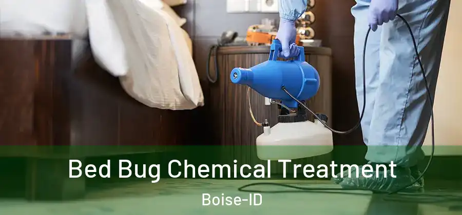  Bed Bug Chemical Treatment Boise-ID