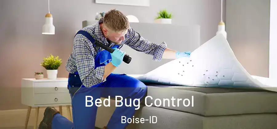  Bed Bug Control Boise-ID