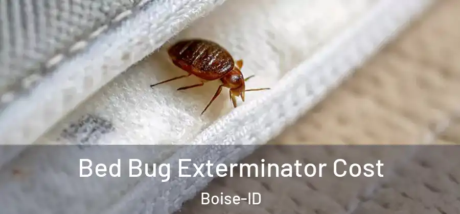  Bed Bug Exterminator Cost Boise-ID