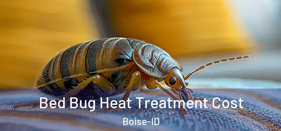  Bed Bug Heat Treatment Cost Boise-ID