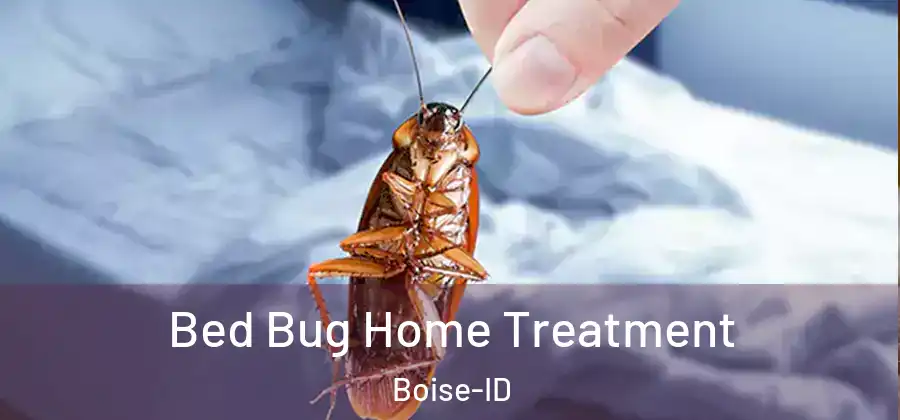  Bed Bug Home Treatment Boise-ID
