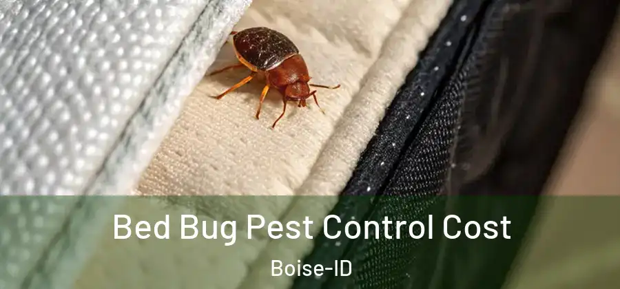  Bed Bug Pest Control Cost Boise-ID