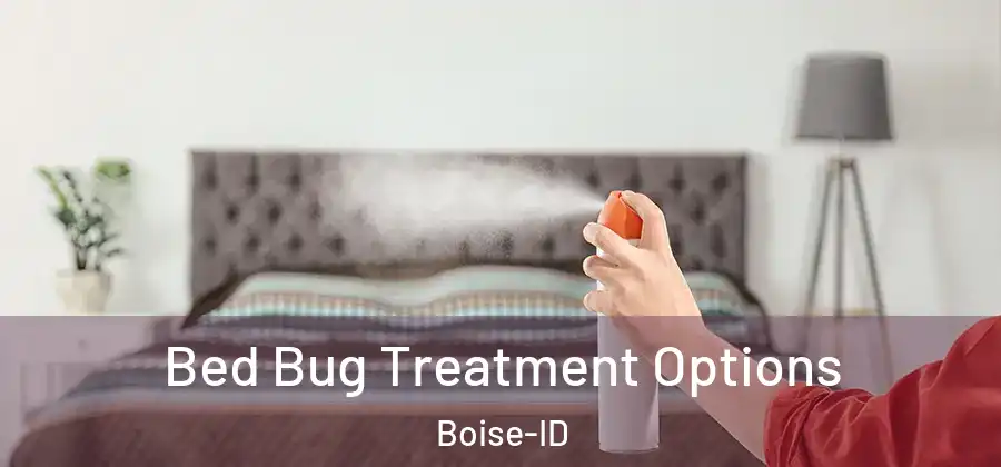  Bed Bug Treatment Options Boise-ID