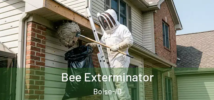 Bee Exterminator Boise-ID