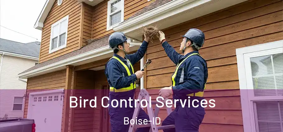  Bird Control Services Boise-ID