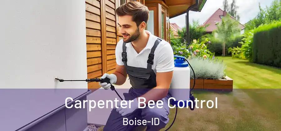  Carpenter Bee Control Boise-ID