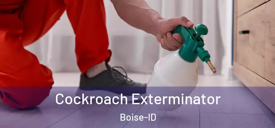  Cockroach Exterminator Boise-ID