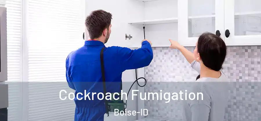  Cockroach Fumigation Boise-ID