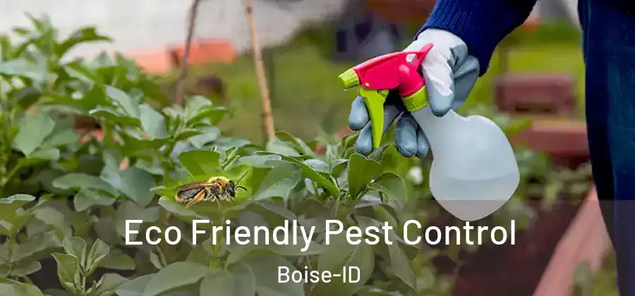  Eco Friendly Pest Control Boise-ID