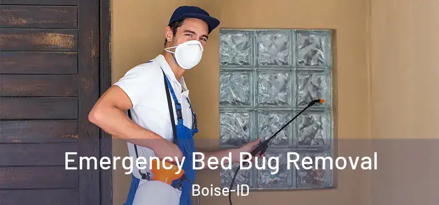  Emergency Bed Bug Removal Boise-ID