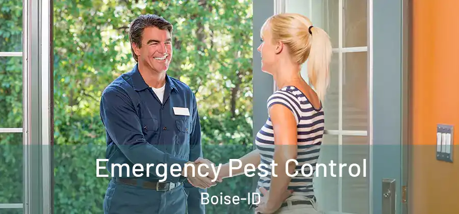  Emergency Pest Control Boise-ID