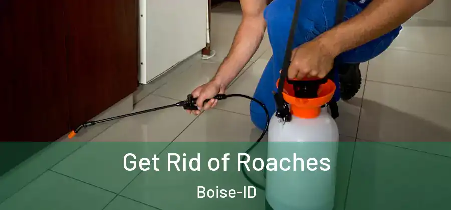 Get Rid of Roaches Boise-ID
