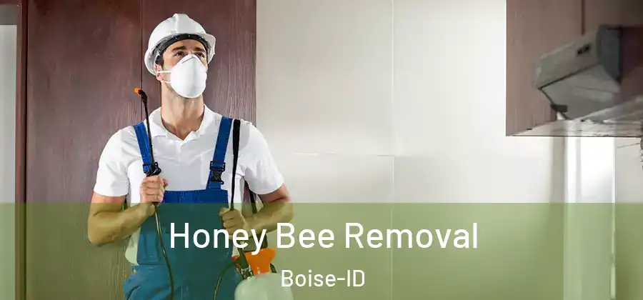 Honey Bee Removal Boise-ID