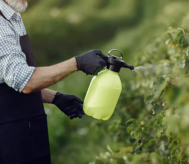 Your Proven Mosquito Treatment Company in Boise, ID