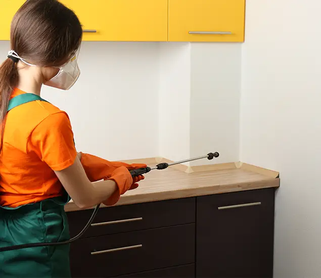 Trusted Bed Bug Pest Control Specialist in Boise, ID