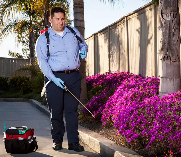 About Our Eco Safe Pest Control Experts in Boise, ID