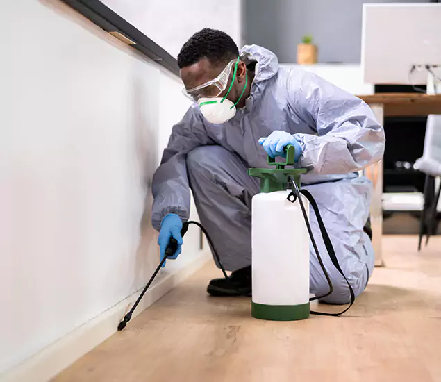 Leading Industrial Pest Control Experts Serving Boise, ID