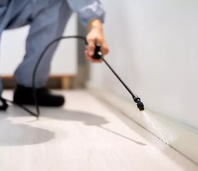 About Our Liquid Termite Treatment Experts in Boise, ID