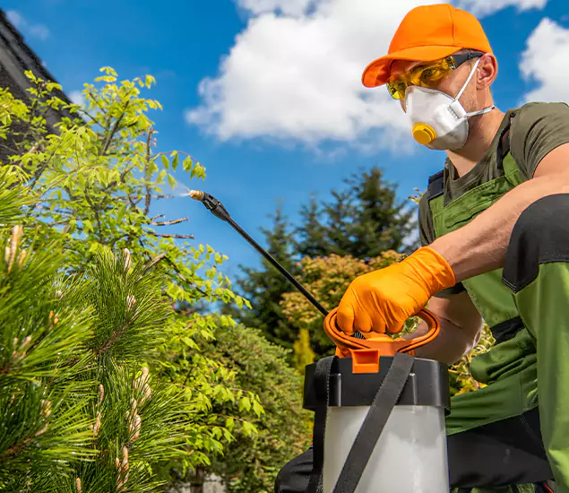 Your Mosquito Repellent Barrier Service in Boise, ID