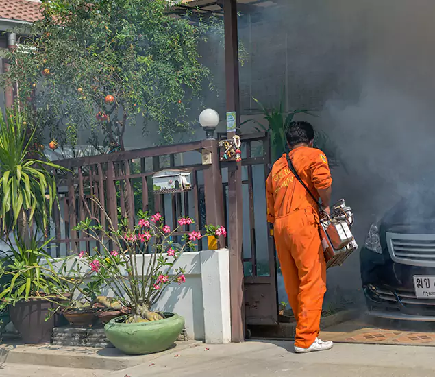 Your Proven Mosquito Fogging Company in Boise, ID