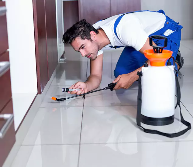 Reliable Professional Mouse Removal: Your Best Mouse Control Company in Boise, ID