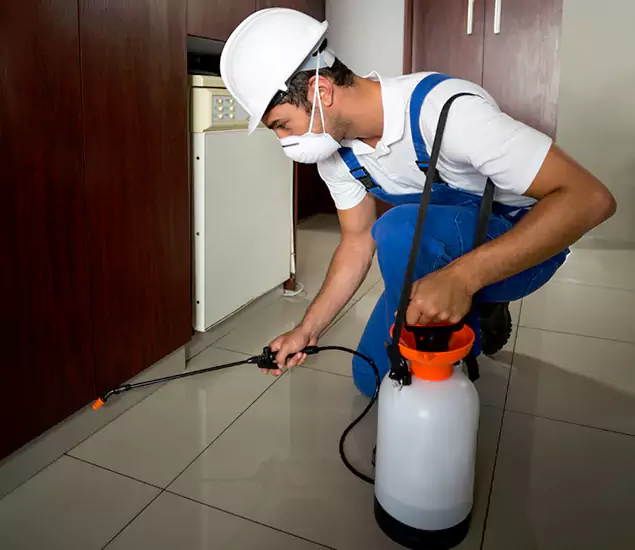 Advanced Termite Pre Treatment Experts in Boise, ID