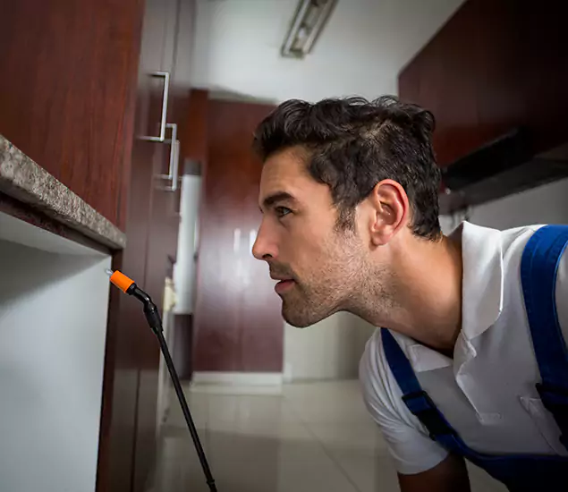 Expert Rodent in Attic Removal: Your Proven Pest Specialists in Boise, ID