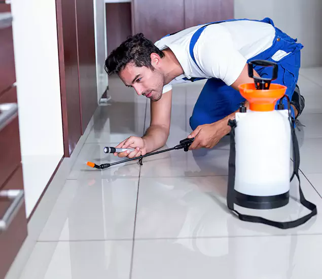Advanced Slab Termite Treatment Experts You Can Trust&nbsp;in Boise, ID