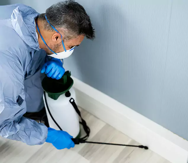 Reliable Termite Cost Experts in Boise, ID