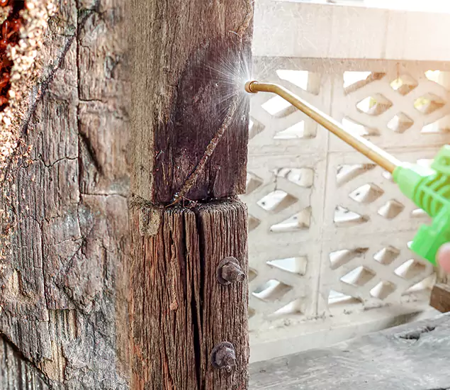 About Wood Termite Treatment Services in Boise, ID