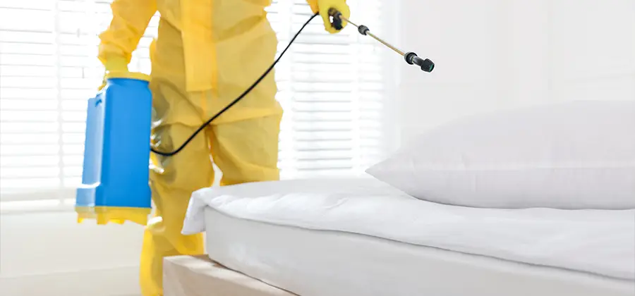 Targeted Chemical Application in Boise