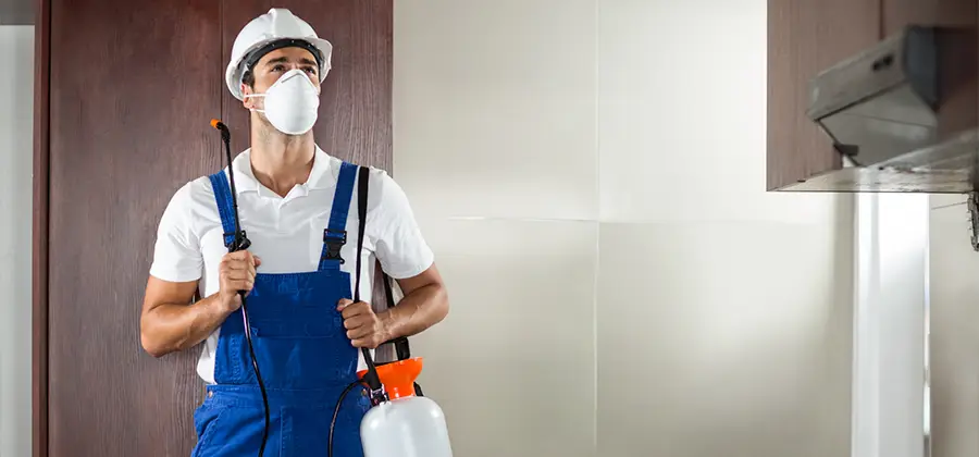 Per Room Bed Bug Cost in Boise
