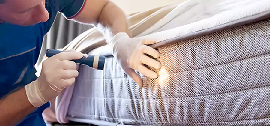 Residential Bed Bug Treatment Cost in Boise
