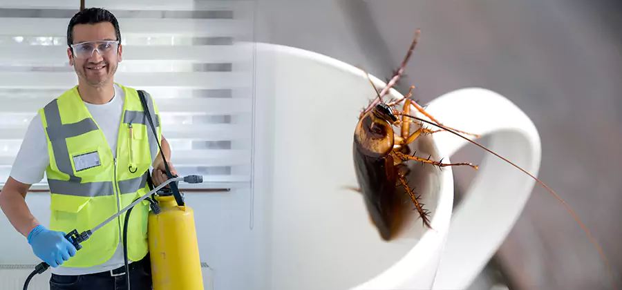 German Roach Infestation Treatment Boise