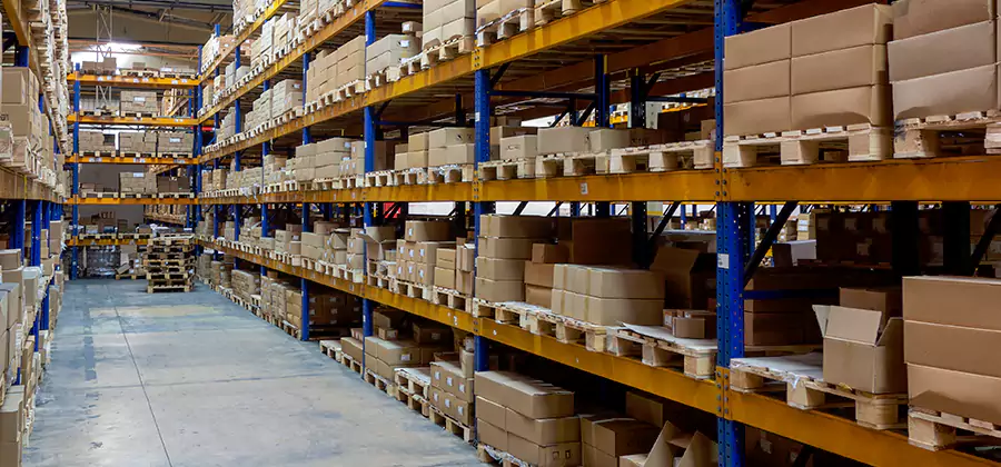 Warehouse Pest Control in Boise