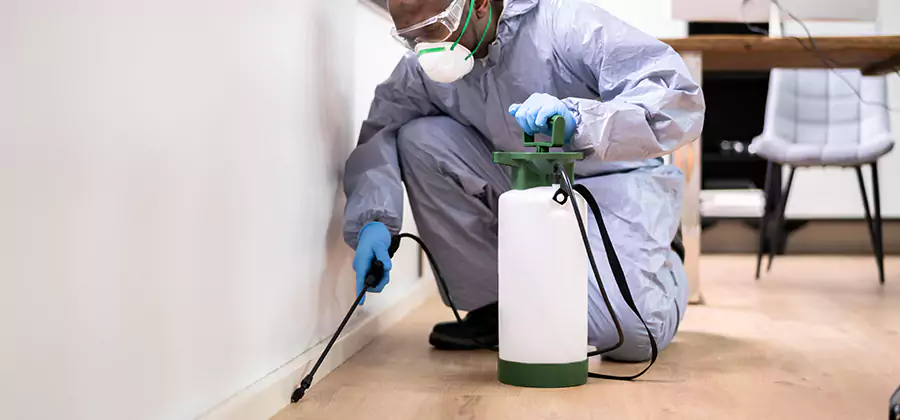 Long Lasting Mosquito Treatment in Boise