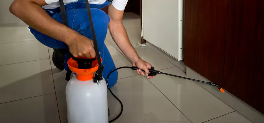One Time Termite Control in Boise