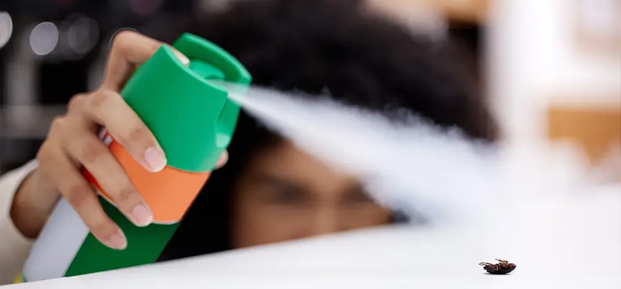 Child Safe Bed Bug Treatment in Boise