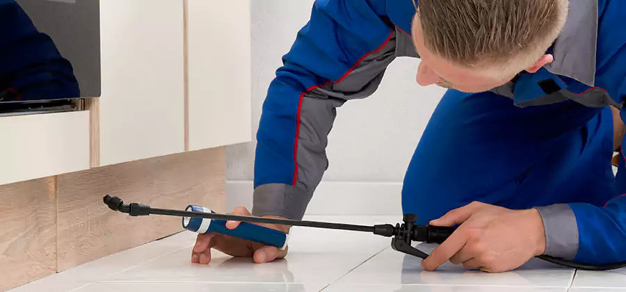 Moisture Treatment For Termite Control Service in Boise