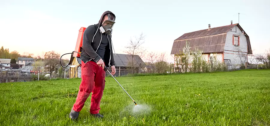 Flea and Tick Pest Control in Boise