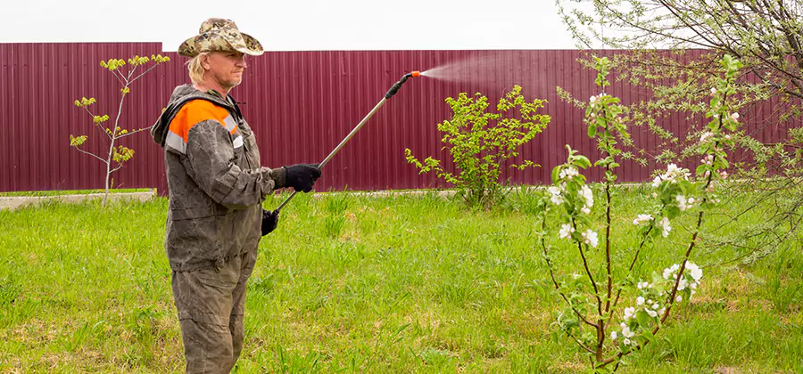 Flea and Tick Spray for Yard in Boise