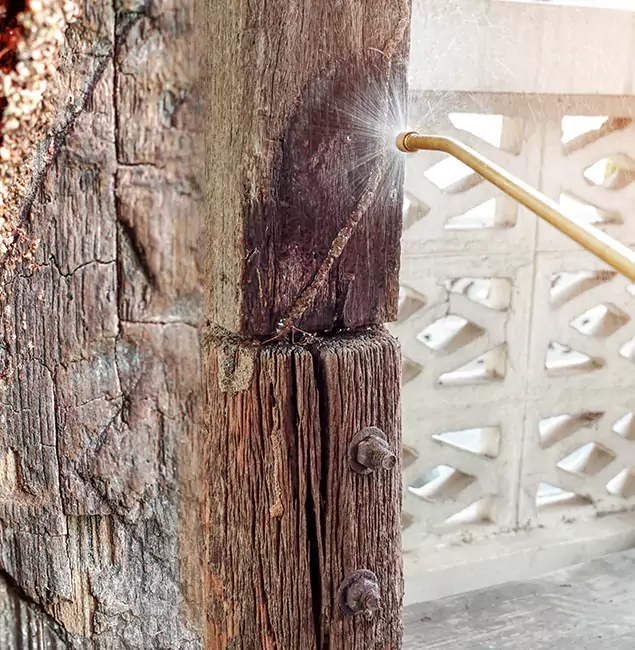 Why Choose Boise Pest Control Services for Attic Termite Treatment in Boise, ID?