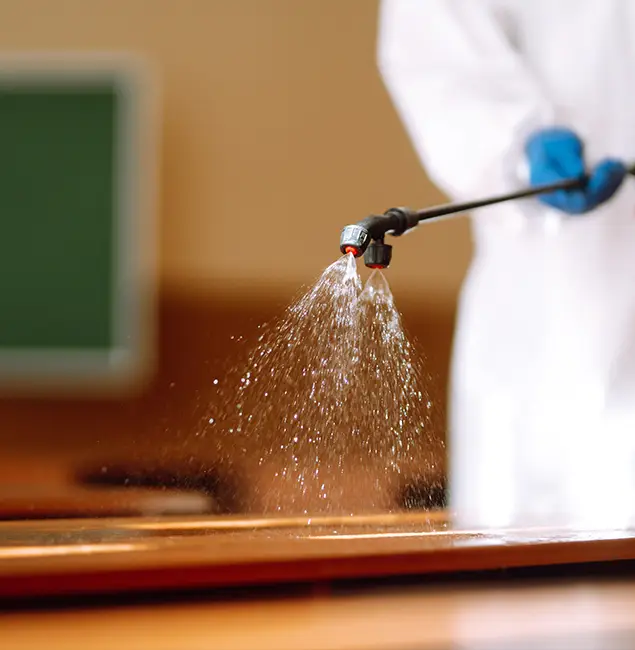 Why Choose Boise Pest Control Services for Bed Bug Chemical Treatment in Boise, ID?