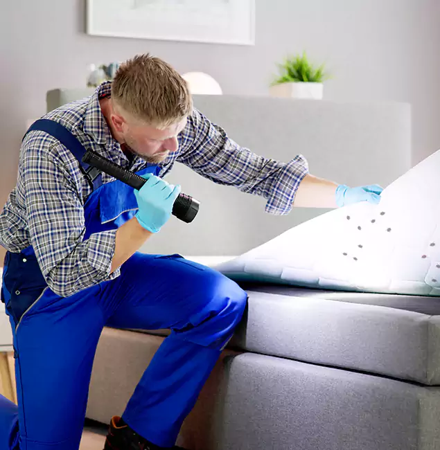 Why Choose Boise Pest Control Services For Bed Bug Heat Treatment in Boise, ID?