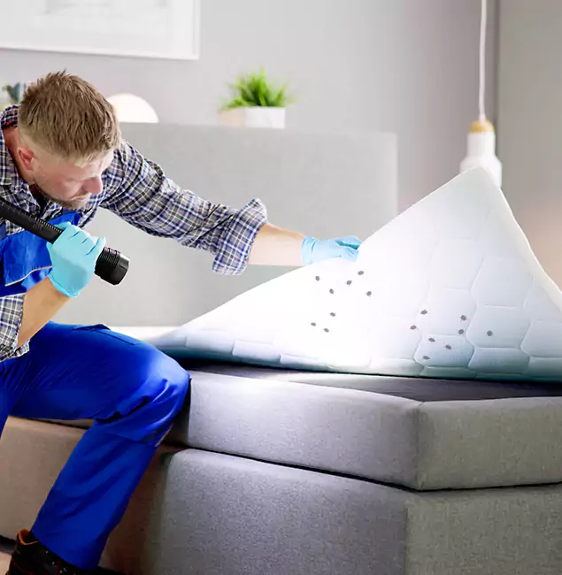 Why Choose Boise Pest Control Services in Boise, ID?