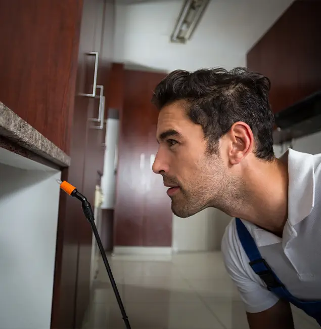 Why Choose Boise Pest Control Services for Bed Bug Removal Cost in Boise, ID?