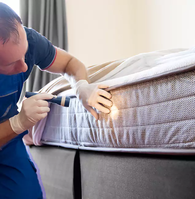 Why Choose Boise Pest Control Services for Bed Bug Services in Boise, ID?