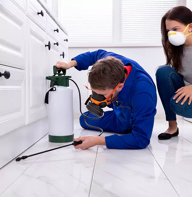 Why Choose Boise Pest Control Services in Boise, ID?