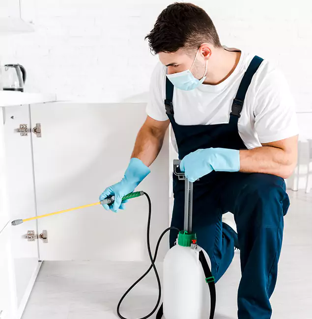 Why Choose Boise Pest Control Services for Emergency Pest Control in Boise?